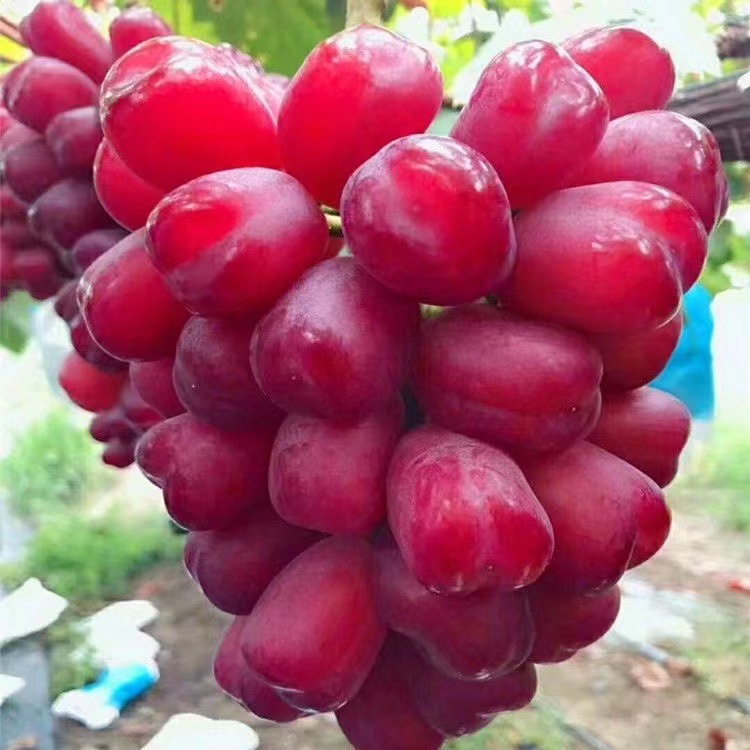 ΢��ͼƬ_20220902144459