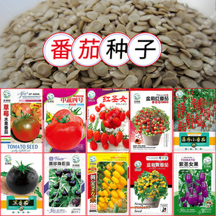 ��С���t�����S�}Ů���tɳȿ�̨���Ժ������ݮ�ٲ�ˮ�����ѷN��