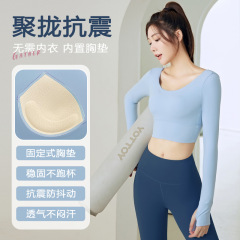Polyester Running Top with Built-in Bra for Women, Long Sleeve Yoga and Fitness Apparel, Seamless and Breathable