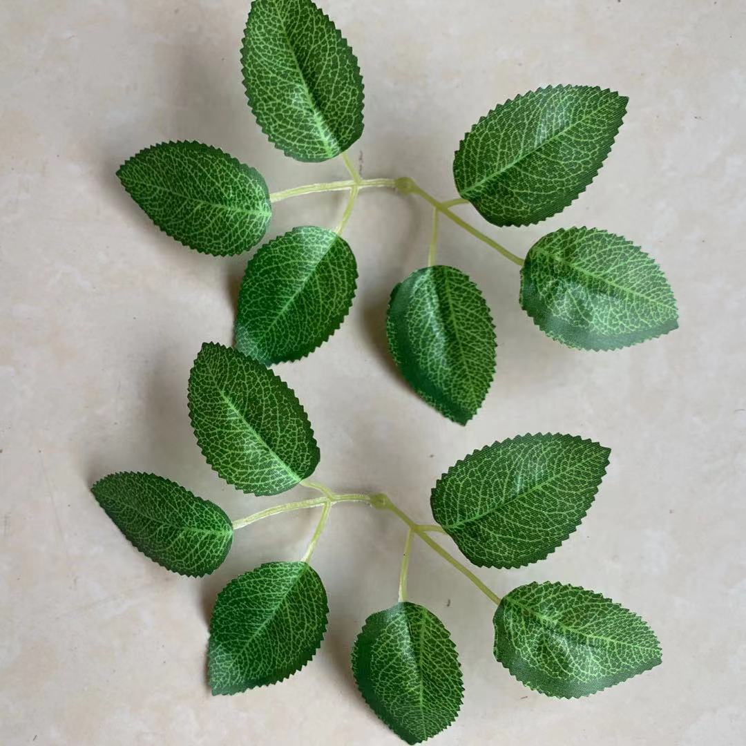 微信图片_202108241601348