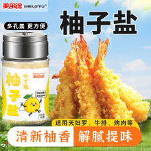 柚子盐水果椒盐烧烤撒料炸物蘸料家用炒菜西餐牛排轻食沙拉调味料
