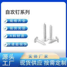 天津高强度华司自攻钉 高强度自攻丝 高强度干壁钉
