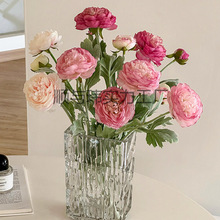 ins¶ɏ滨ٻ[O͏dbƷ廨ˇ[ĵ