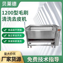 大型土豆去皮机商用毛辊全自动红薯萝卜毛刷清洗脱皮机莲藕去皮机