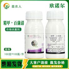 欣诺尔 44%精甲百菌清辣椒疫病农药杀菌剂