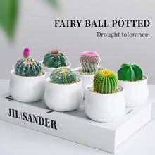 ��Ʒ�������҃�С���������ƶ���ֲ���f��ɽ�k��������Gֲ����