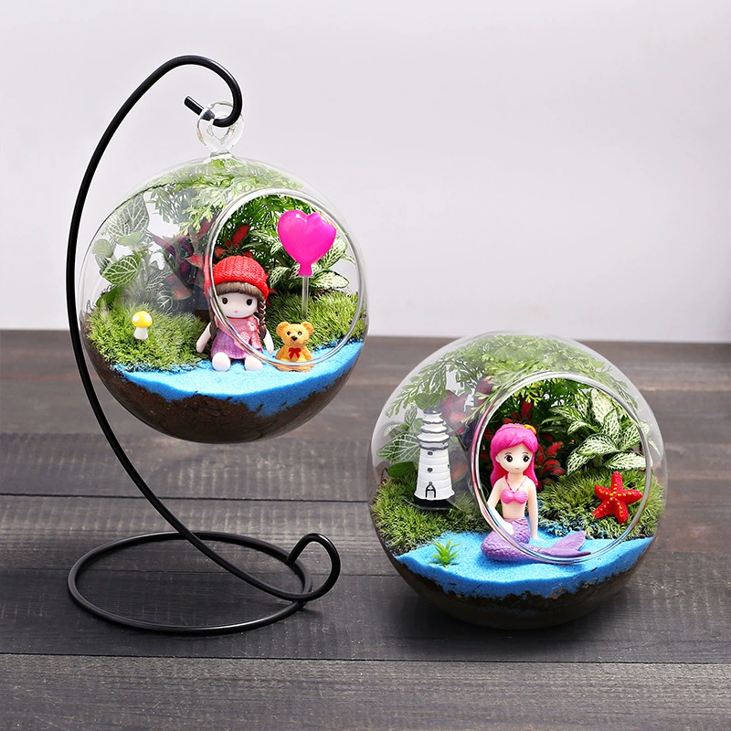 12C девушки экологическая бутылка зеленый мох микропейзаж зеленые растения в горшке Свежие творческие DIY маленькие настольные украшения для бонсай