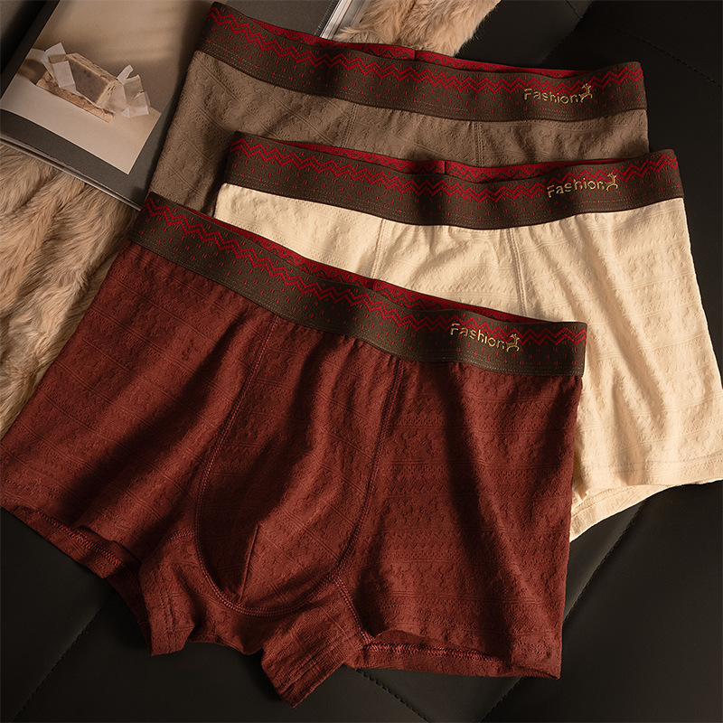 Men's Underwear Jacquard Texture Pure Cotton Boxer Briefs Men's 10A Antibacterial Crotch Autumn and Winter New Large Size Boxer Shorts