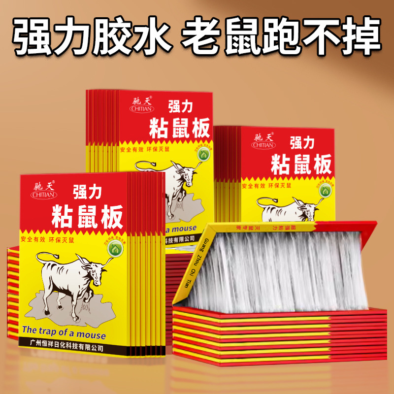 강력한 접착제가 포함된 10개 강력한 접착제 쥐 [핫 셀링]