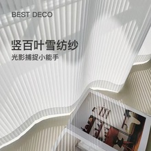 网红百叶窗帘透光不透人纱帘窗纱2022新款阳台纱白纱纱幔客厅卧室