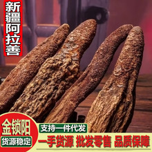 锁阳 中药材批发 新货 锁阳片 金锁阳干净无杂 支持代发 承接订单