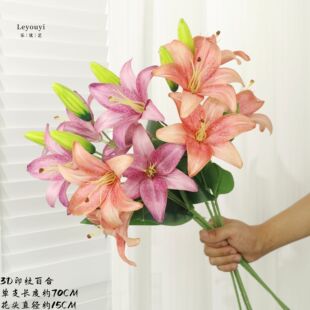 ����ˇ3Dӡ�y�ٺϷ��滨���¼ٻ�����ɫ��ˇ���ļҾ��b[�O�zӰ