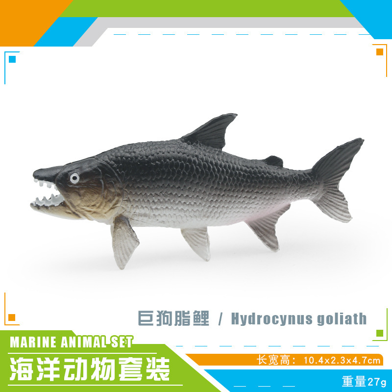 Transfronteriza simulación animal marino atún pargo real ganado puerto bajo salmón modelo adornos