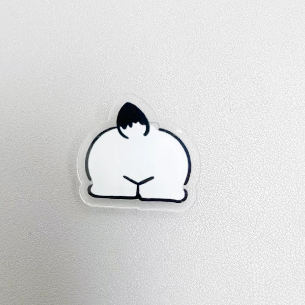 Pacchard pp ass