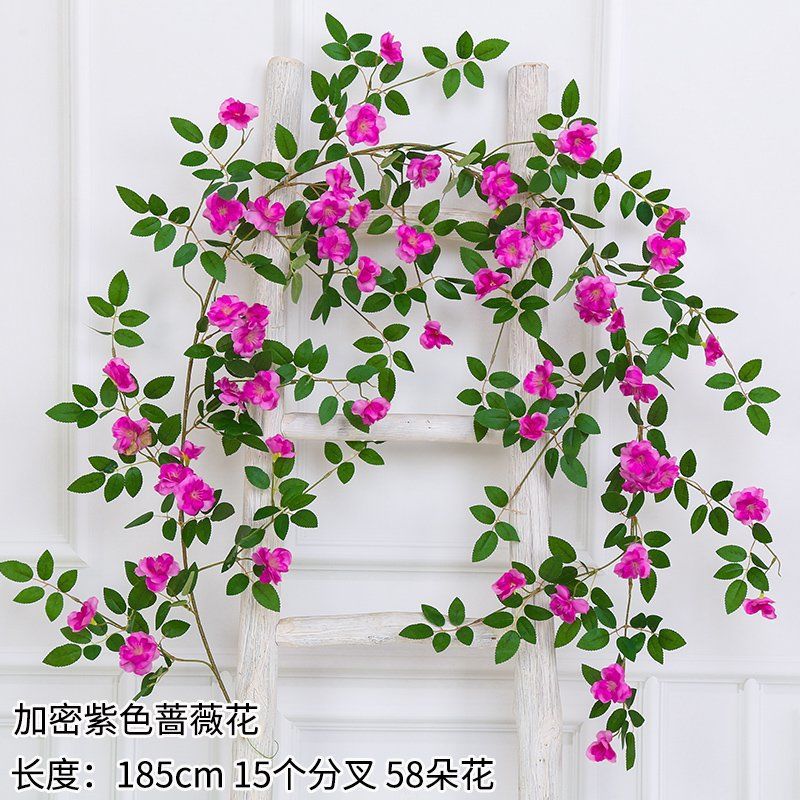 Cifrado ampliado Purple Rose-58 flores