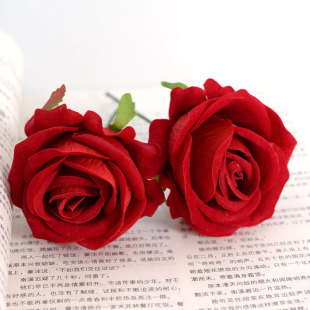 ����õ�廨�^С�q������c���û����OӋ���T�b�·���廨�ٻ���