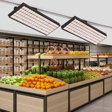 Ј۹ledirˮ߲˰׹ʳrr