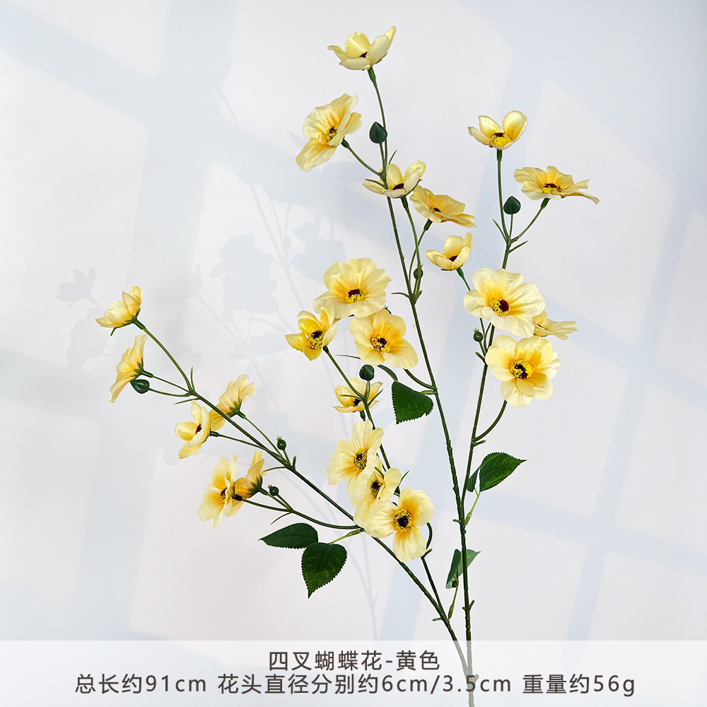 WP-四叉蝴蝶花-黄色