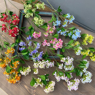 滨ǧ𻨻cbҾӲö㻨ٻ羳؛ԴzӰ