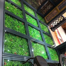 ƺ҃ȿ͏d̨T^ϼٻbֲGֲ