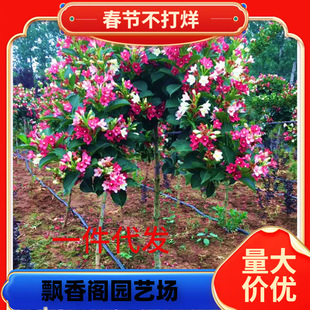 ͥԺ�G����N�t�����\�����绨�~�\������\���������\����������