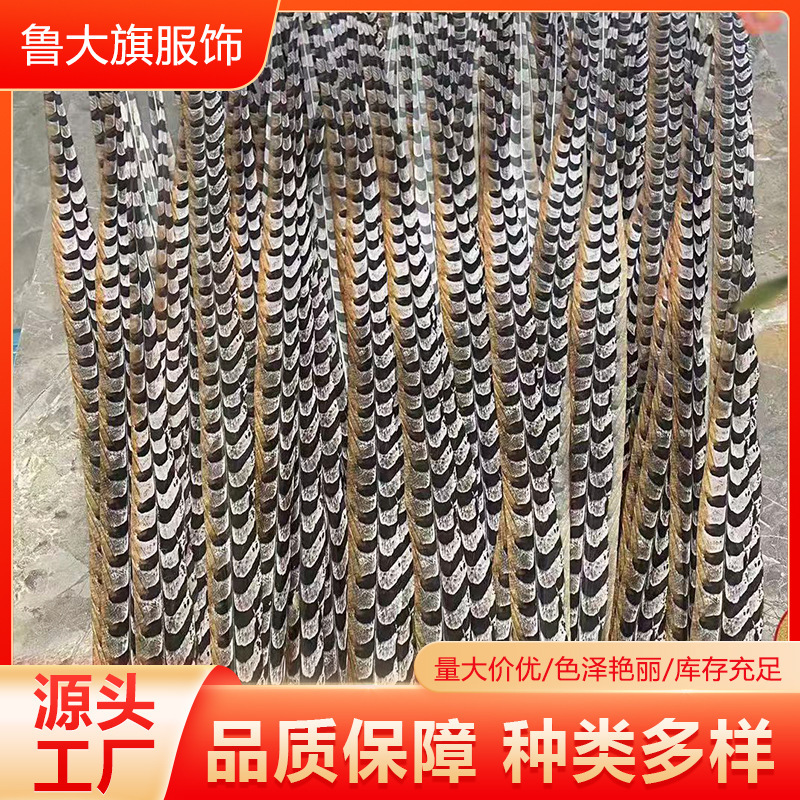 Feather Headdress for Peking Opera Flower Girl, Sun Wukong Performance Feather, Pheasant Feather Opera Feather Props