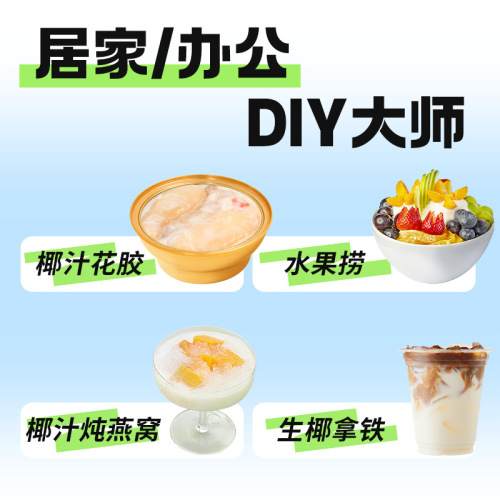 Coconut milk dessert bird's nest fish maw companion small package 12g edible condensed milk high concentration coconut milk wholesale