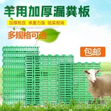 ©�S�崲��ӼS����������O�����üӺ���©�S���B��������̫��