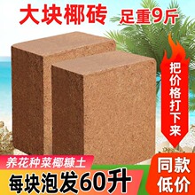 Ҭ�u�I�B���u�B���Nֲ��Ҭ���u�N��Ү�㉺�s������������ͨ���ʹ�