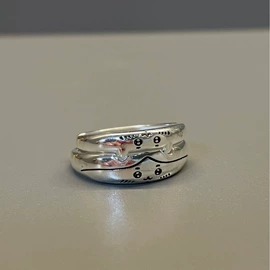 戒指;项链;耳钉