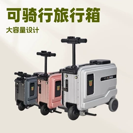 滑板车;电动滑板车;其他电动车