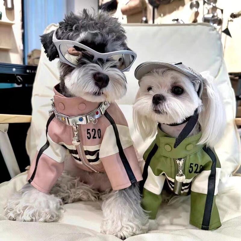 Dog Autumn and Winter Clothes Outwear Motorcycle Jacket Maltese Yorkshire Schnauzer Bichon Teddy Pomeranian Shiba Inu
