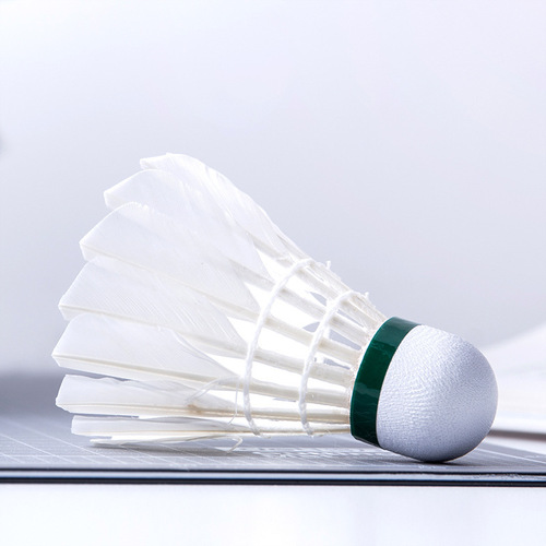 Deli Angelite F2201 resistant elastic sports training badminton 6 pieces badminton set wholesale