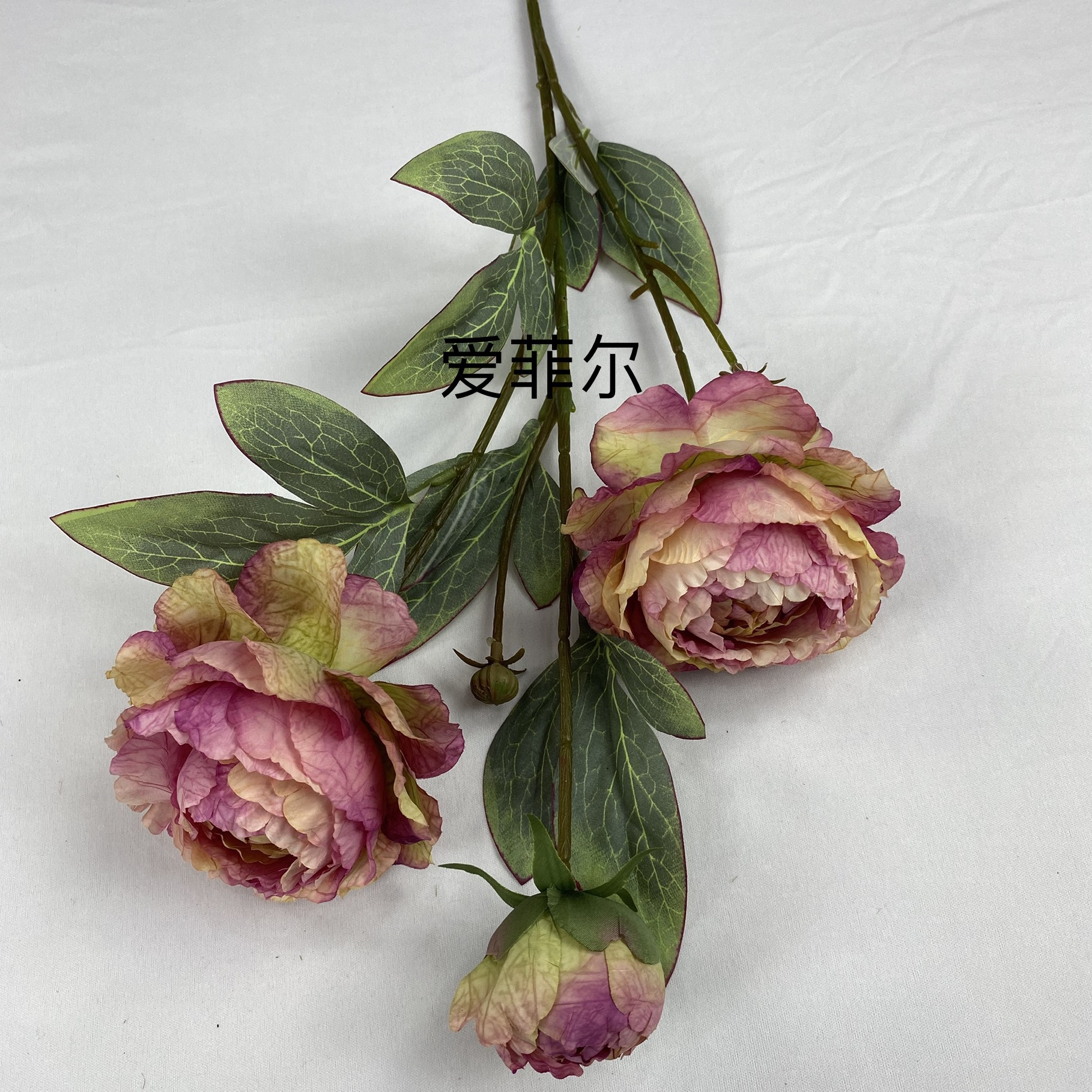 1fbe75aa00bb677a1635e6fcf8413c