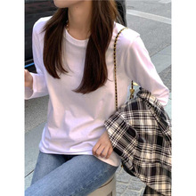 nABLTŮ¿eٴinsȴ