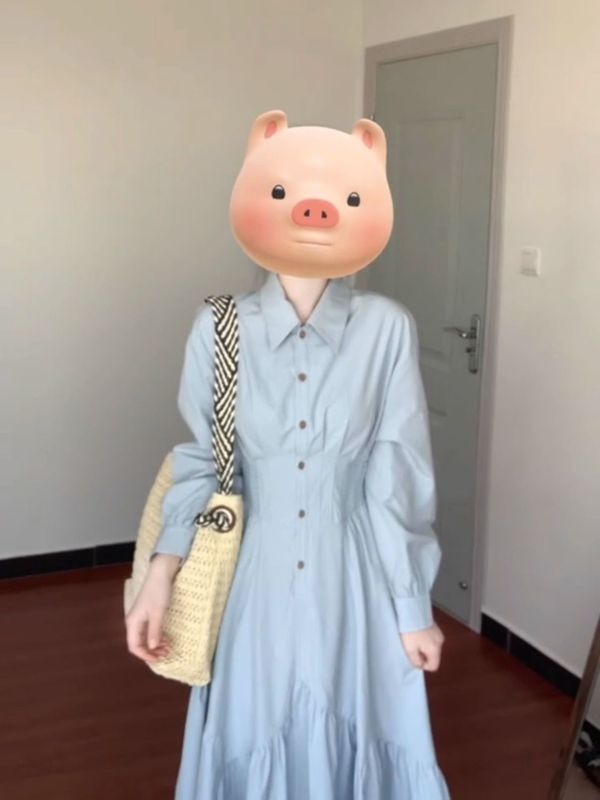 法式秋季收腰气质2025秋新款学院显瘦蓝色长裙长袖衬衫连衣裙学生|undefined