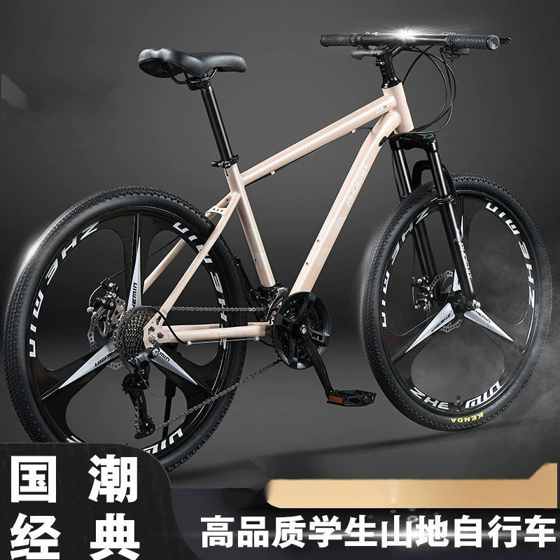 Phoenix, mountain road bike with brake system for elementary school students for adults, 24 inch, for teenagers