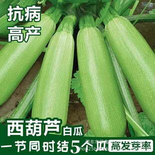 �����J�N�Ӳ˺��J�㽶�����J�N��ԭ�b�ļ��߲˷N�Ӵ�ȫ���Ѵ����l