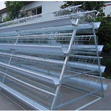 �Ӵ��ԄӼ��ÝL���u�\���u�\�u�\�Bֳ���ӻ\�u�\���Bֳ��ľ������