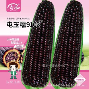 ����Ŵ9103�����׷N�Ӻ���Ŵ���׷Nˮ�����׷��D����ԭ�b�N�Ӵ�ȫ