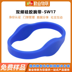 DTB-SW17 密閉型ラウンドヘッドシリコンリストバンド防水性と耐摩耗性 RFID デュアル周波数デュアルチップブレスレットリストバンド