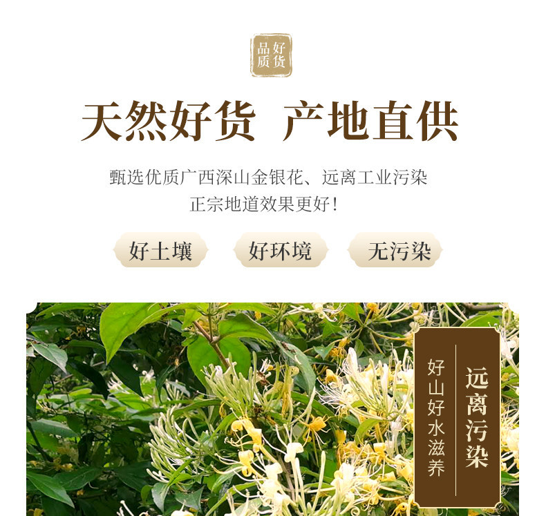 Honeysuckle Flower Jin Yin Hua 500g Dried Lonicera japonica Buds for Tea and Herbal Bath overview