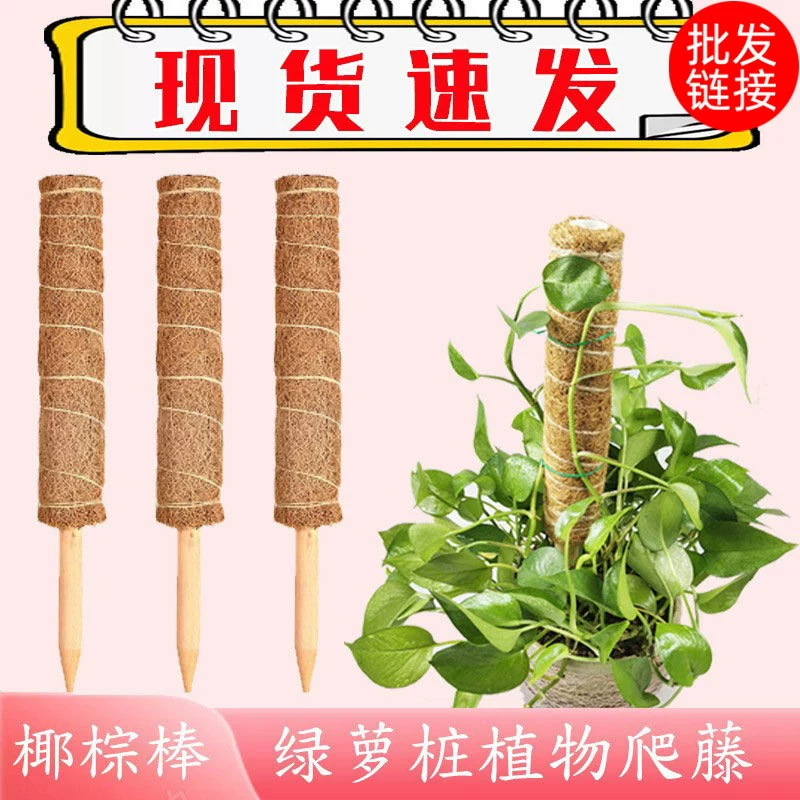 Кокосовая Пальма альпинистская лоза палка зеленая Роза ворс альпинистская стойка для поддержки растений стойка для цветов черепаха бамбуковая Опора кокосовый столб фиксированная свая