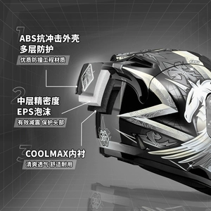Motorcycle Helmet Full Face with Spoiler Unisex