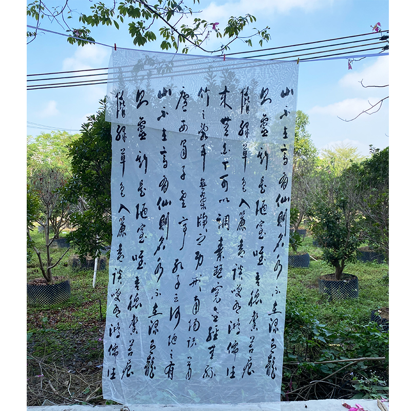 Cortina de estilo chino clásico, diseño de caligrafía y paisaje, ideal para interiores o fondos decorativos