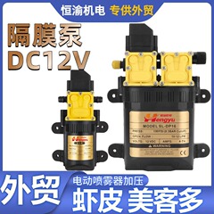 DC12V 噴霧器インテリジェントダイヤフラムポンプマイクロダイヤフラムポンプ DC 車洗浄ダイヤフラム圧力