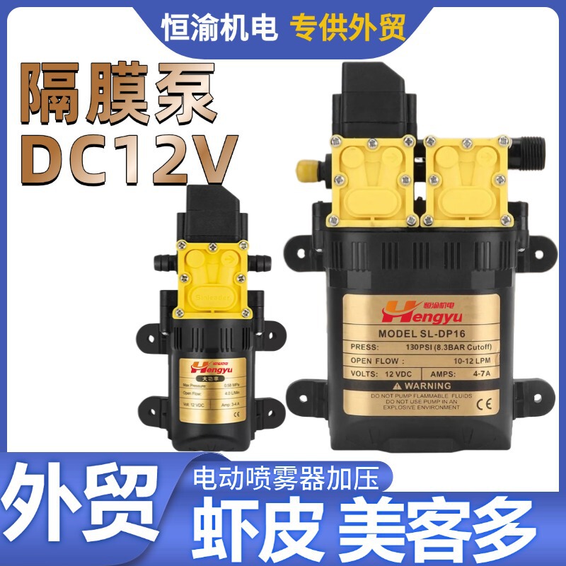 DC12V 噴霧器インテリジェントダイヤフラムポンプマイクロダイヤフラムポンプ DC 車洗浄ダイヤフラム圧力|undefined