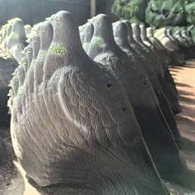 工厂直销 仿真动物 打猎诱饵园林装饰品半片鸽子庭院摆件驱鸟器