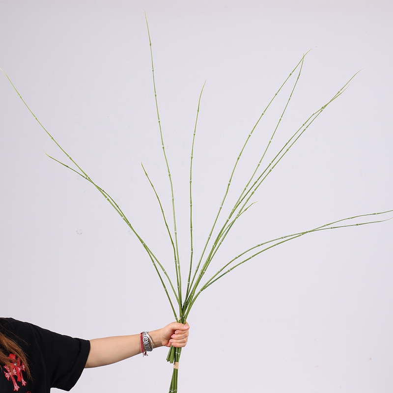 仿真植物木贼竹节草加长花艺绿植装饰水竹子春枝插花园林造景摆件|undefined