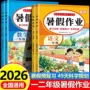 数学暑假语文2026作业本